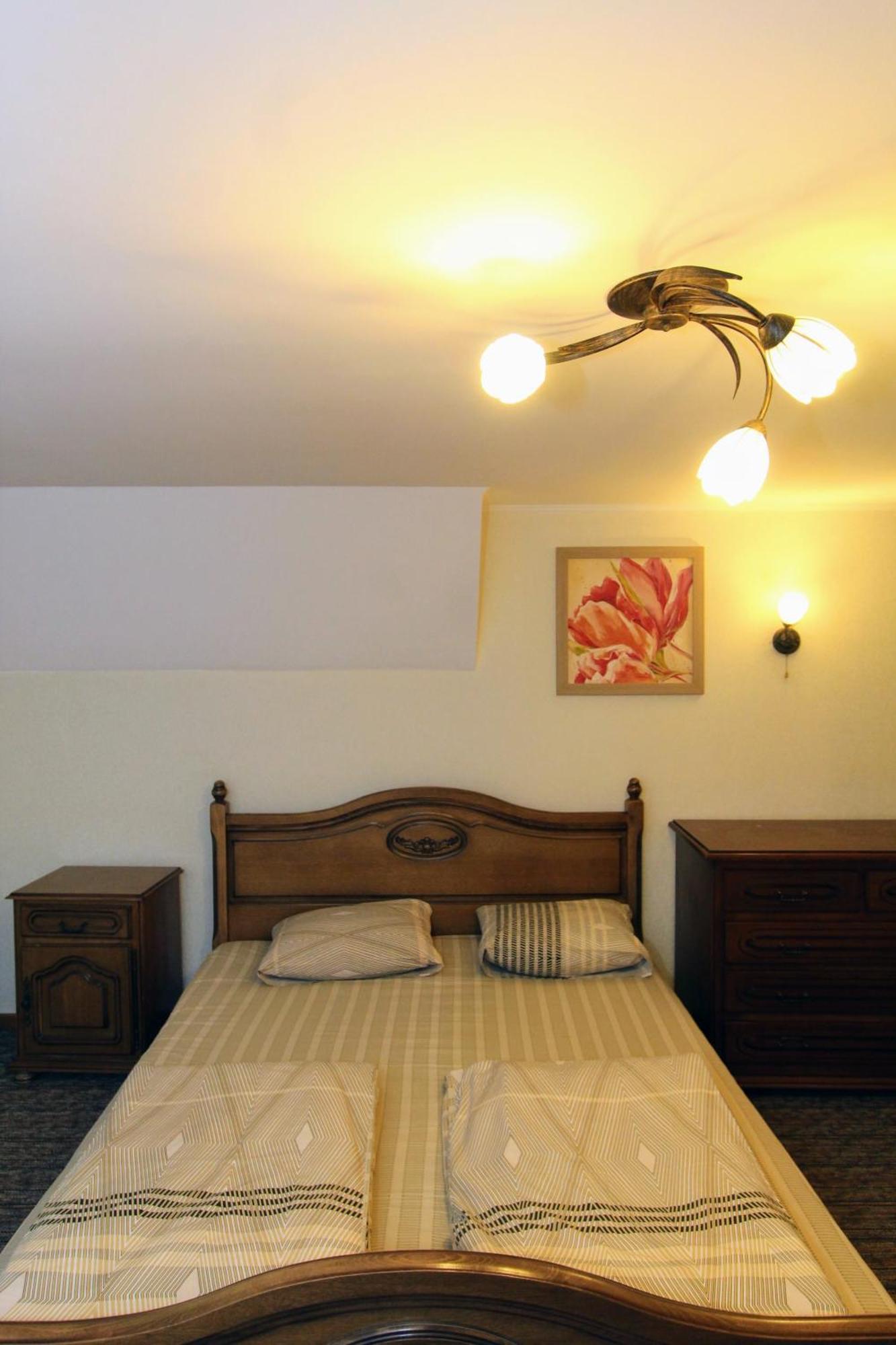 Затишний Міні-Готель "Rosky" Yasinya Habitación foto